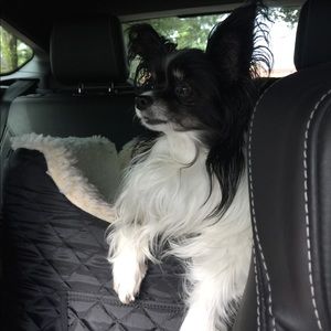 Meet your Posher, Heidi